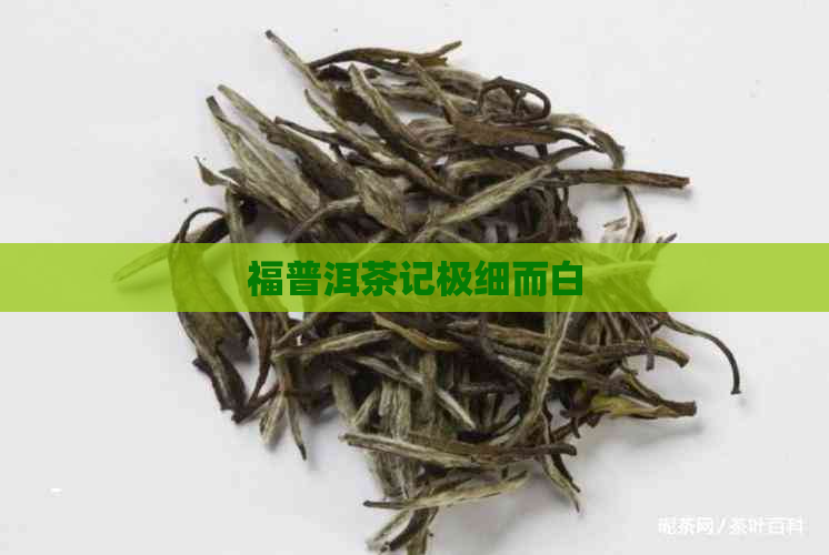 福普洱茶记极细而白