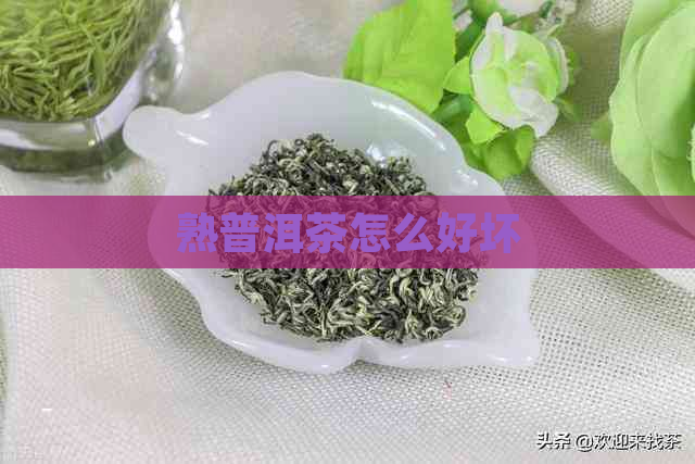 熟普洱茶怎么好坏