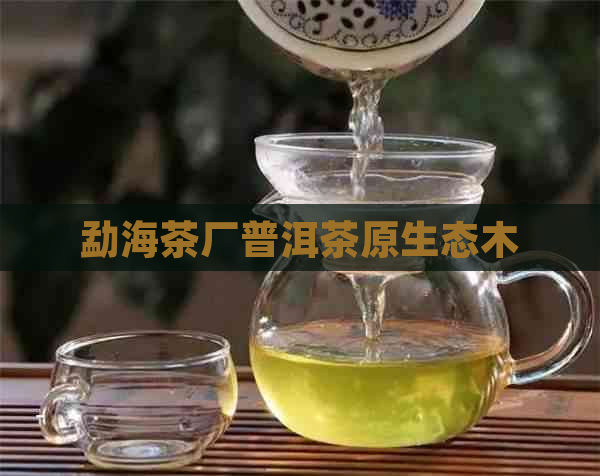 勐海茶厂普洱茶原生态木