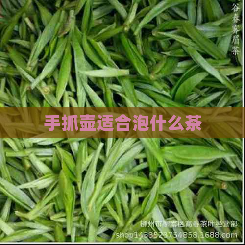 手抓壶适合泡什么茶