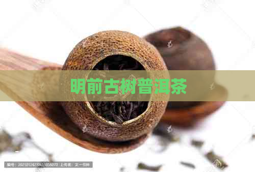 明前古树普洱茶