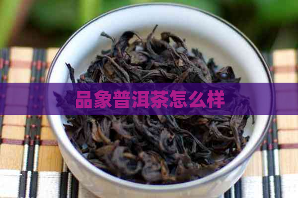 品象普洱茶怎么样