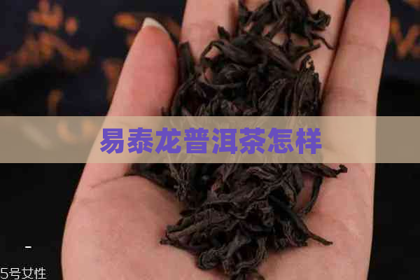 易泰龙普洱茶怎样