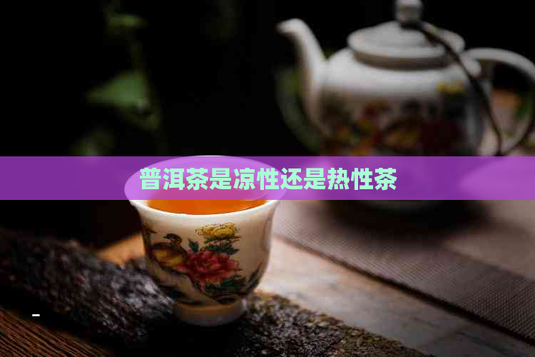 普洱茶是凉性还是热性茶