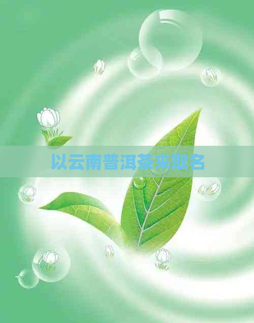 以云南普洱茶来取名