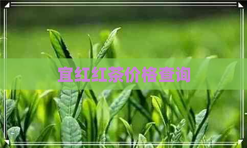 宜红红茶价格查询