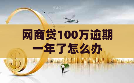 网商贷100万逾期一年了怎么办