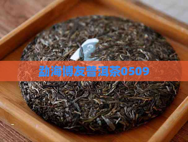 勐海博友普洱茶0509