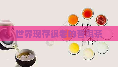 世界现存很老的普洱茶