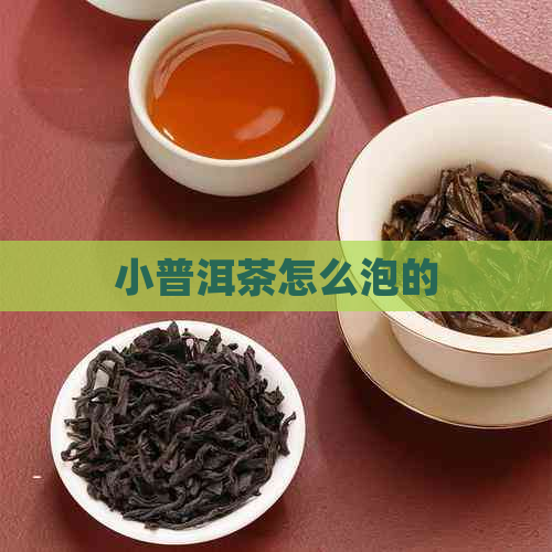 小普洱茶怎么泡的