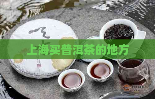 上海买普洱茶的地方