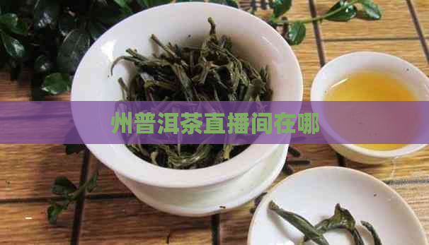 州普洱茶直播间在哪