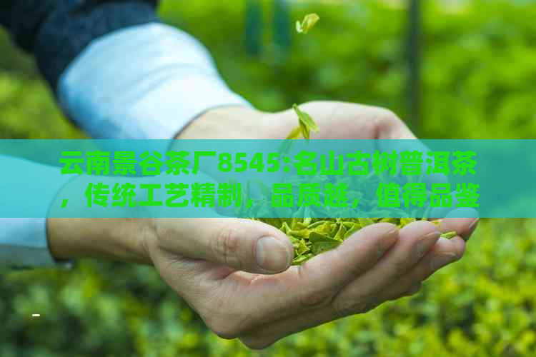 云南景谷茶厂8545:名山古树普洱茶，传统工艺精制，品质越，值得品鉴