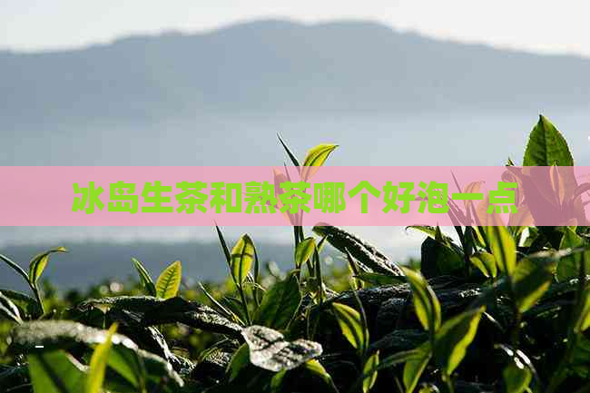 冰岛生茶和熟茶哪个好泡一点