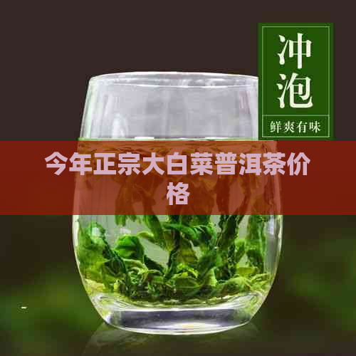 今年正宗大白菜普洱茶价格