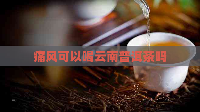 痛风可以喝云南普洱茶吗