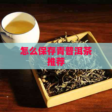 怎么保存青普洱茶推荐