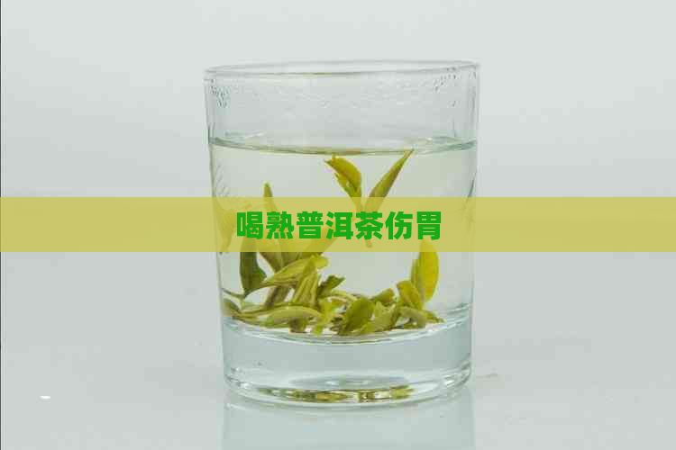 喝熟普洱茶伤胃