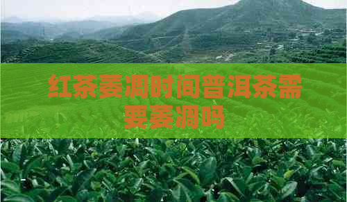 红茶萎凋时间普洱茶需要萎凋吗