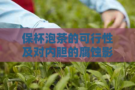 保杯泡茶的可行性及对内胆的腐蚀影响：详细解答与建议