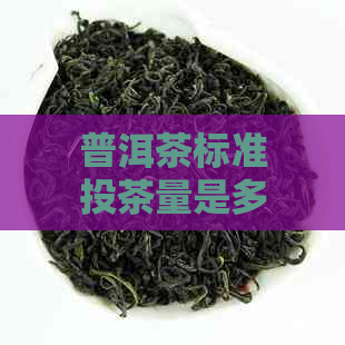 普洱茶标准投茶量是多少克