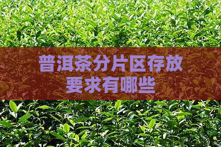 普洱茶分片区存放要求有哪些