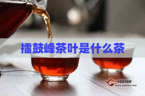 擂鼓峰茶叶是什么茶