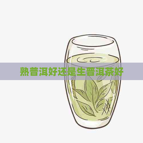 熟普洱好还是生普洱茶好