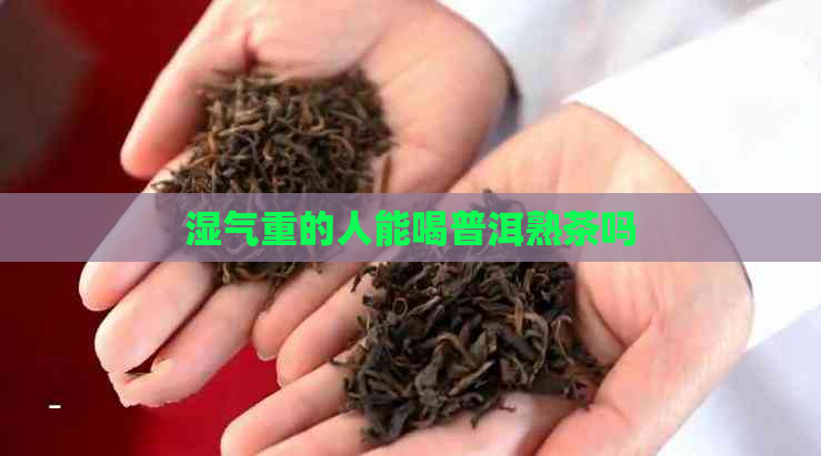 湿气重的人能喝普洱熟茶吗