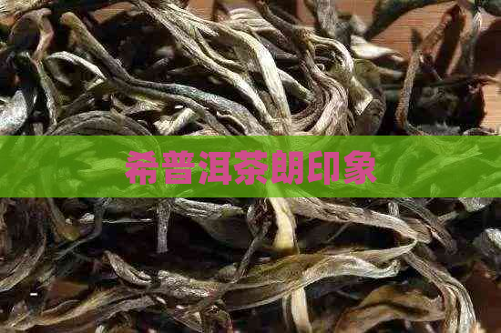 希普洱茶朗印象