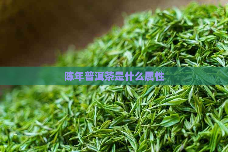 陈年普洱茶是什么属性