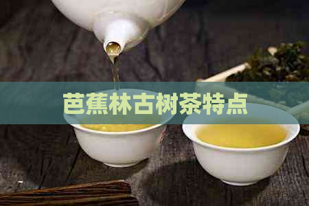 芭蕉林古树茶特点