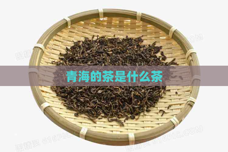 青海的茶是什么茶