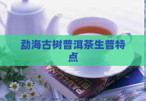 勐海古树普洱茶生普特点