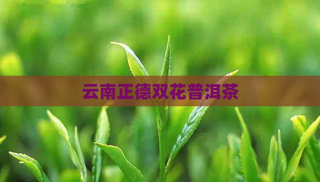 云南正德双花普洱茶