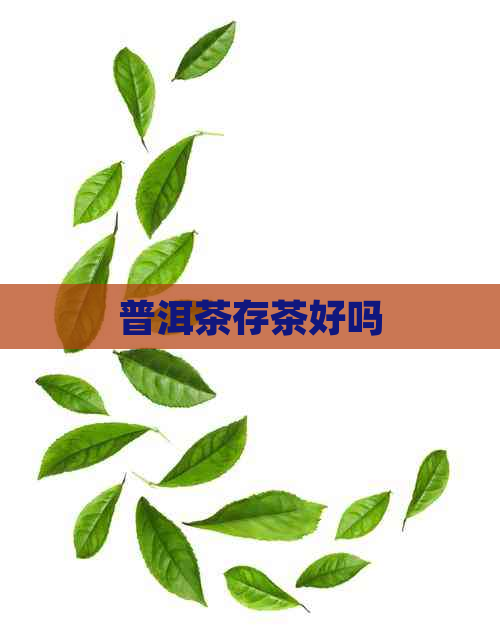 普洱茶存茶好吗