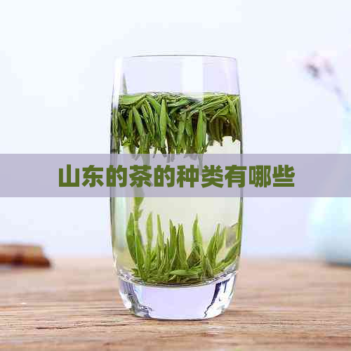 山东的茶的种类有哪些