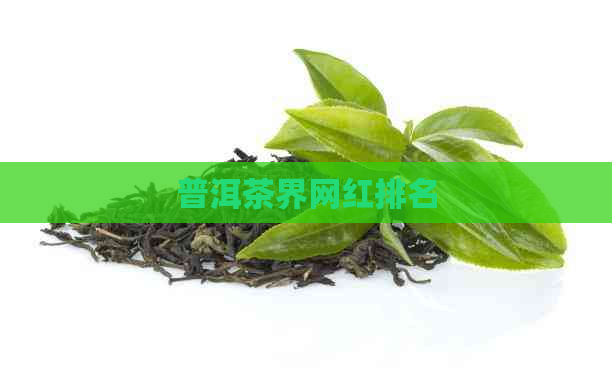 普洱茶界网红排名