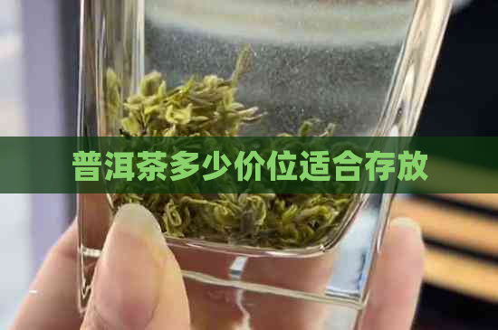 普洱茶多少价位适合存放