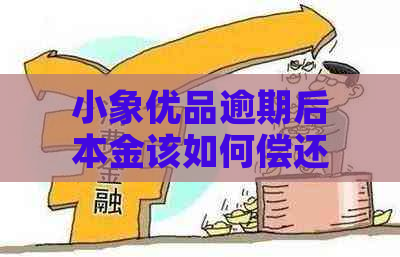 小象优品逾期后本金该如何偿还