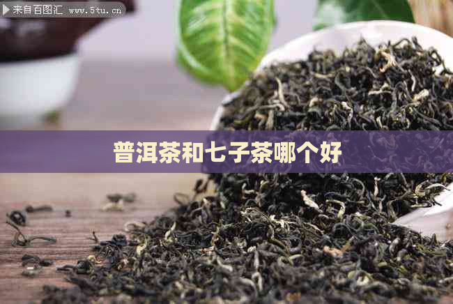 普洱茶和七子茶哪个好