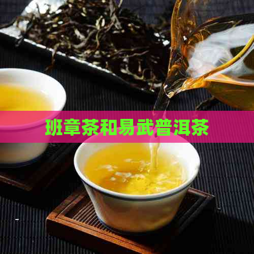 班章茶和易武普洱茶