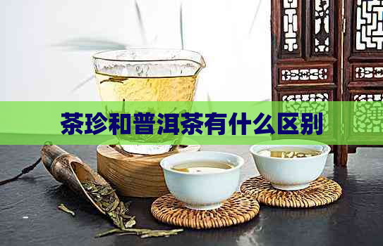 茶珍和普洱茶有什么区别