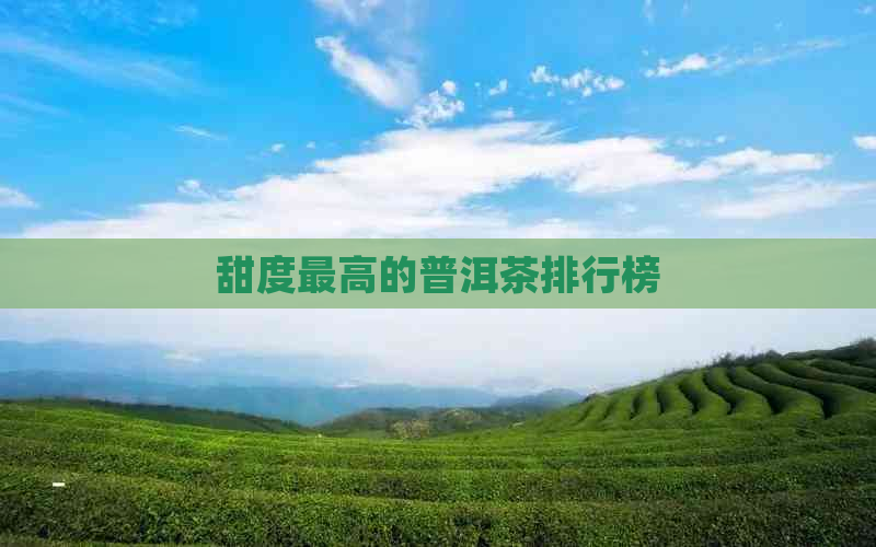 甜度更高的普洱茶排行榜