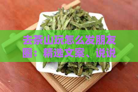 去茶山玩怎么发朋友圈：精选文案、说说和句子，让你的游记引人入胜！