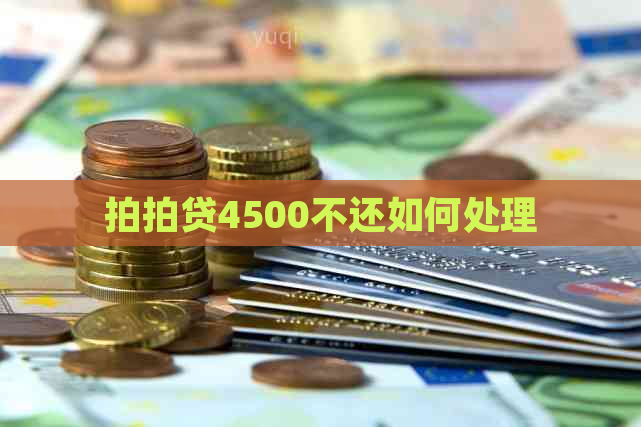 4500不还如何处理