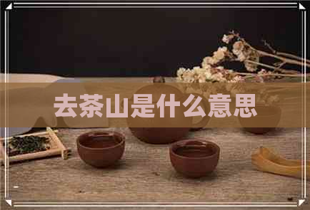 去茶山是什么意思