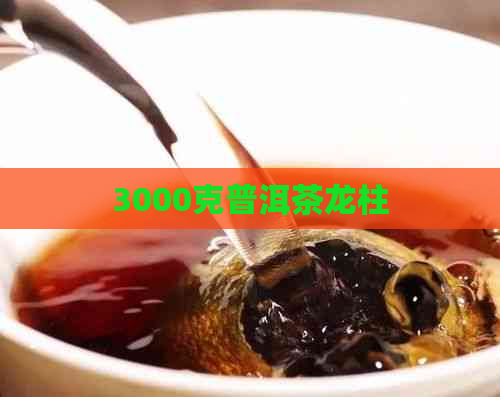 3000克普洱茶龙柱