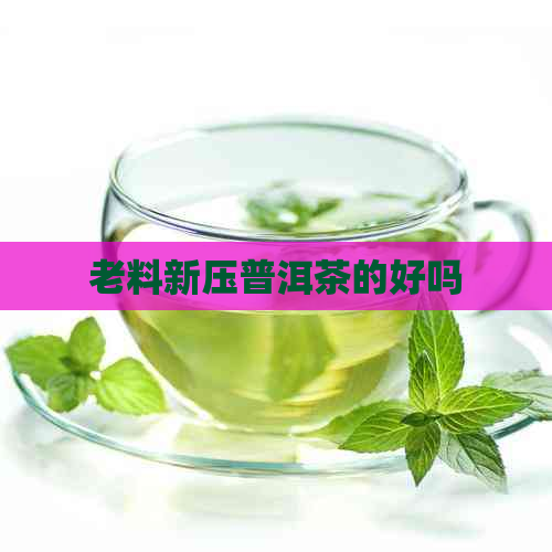 老料新压普洱茶的好吗