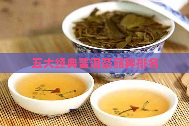 五大经典普洱茶品种排名